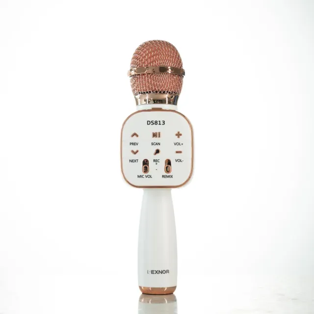 Dexnor Microfono Karaoke Bluetooth Rosa con Cassa
