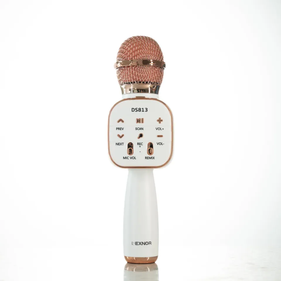 Dexnor Microfono Karaoke Bluetooth Rosa con Cassa